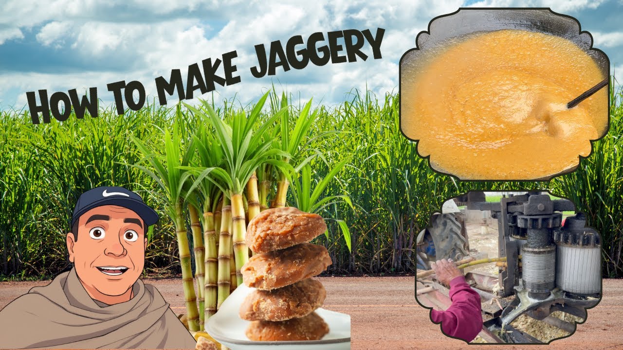 How To Make Jaggery , (ਗੁੜ ) From Suger Cane