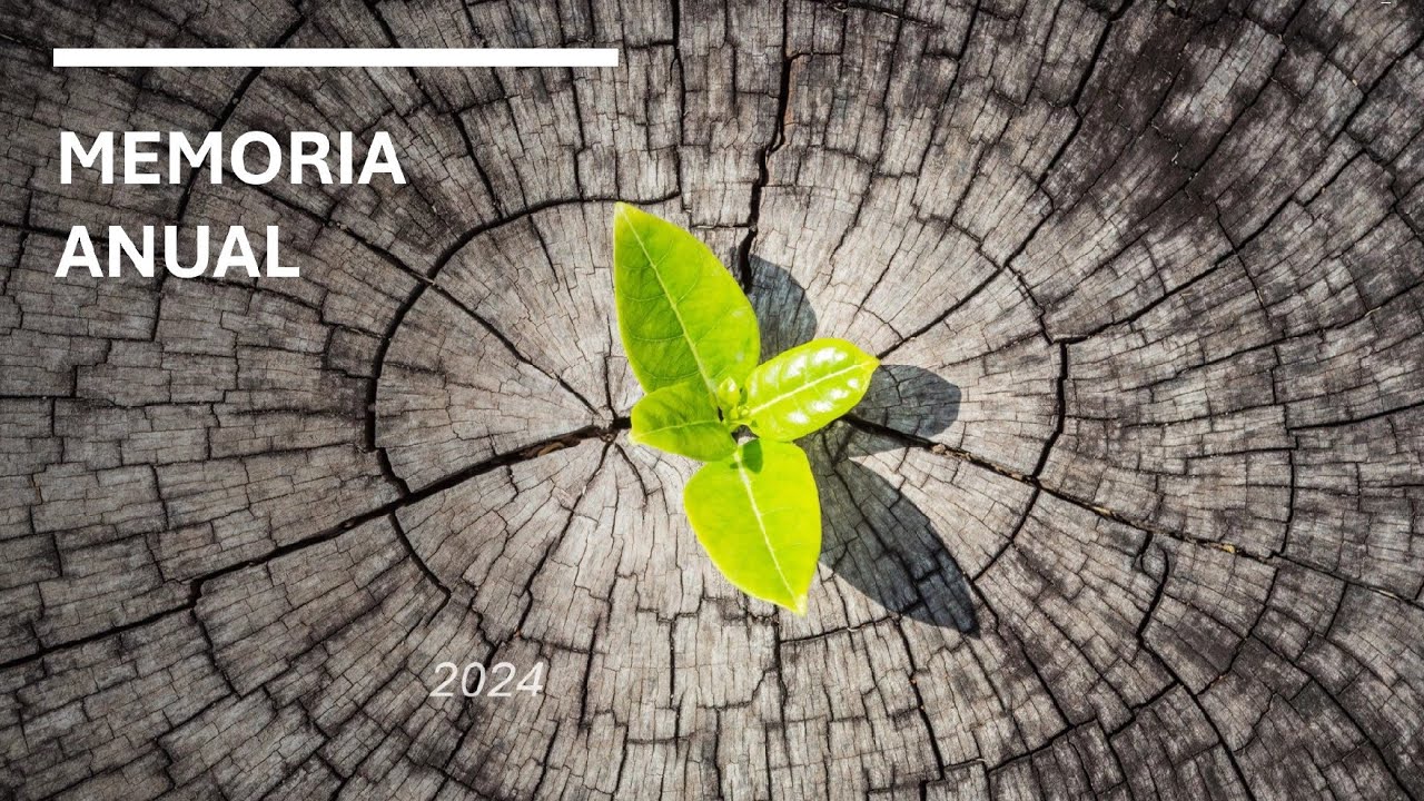 Memoria Anual 2024 - Red de Empresas Inclusivas de Uruguay