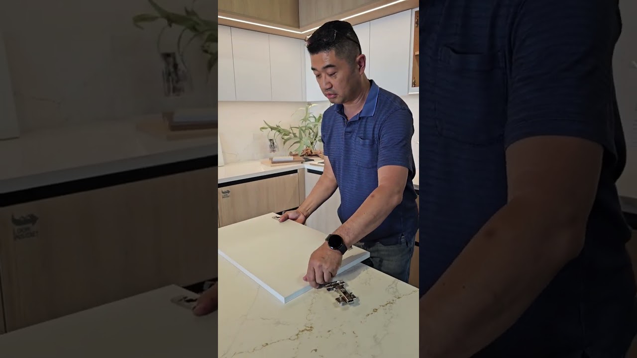 Demetra Cabinetry Blum Hinges Toolless Removal