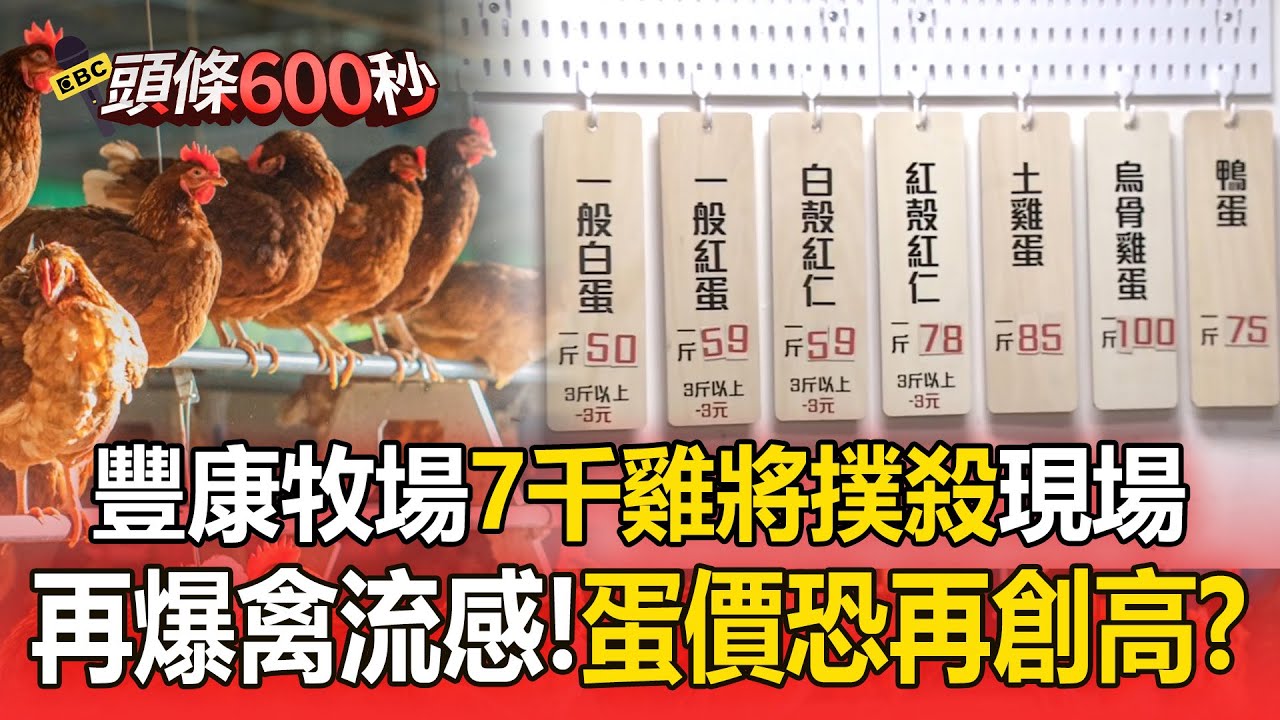 豐康牧場「7千雞將撲殺」現場拉封鎖！台中再爆禽流感「全台蛋價恐再創高」？【頭條600秒】