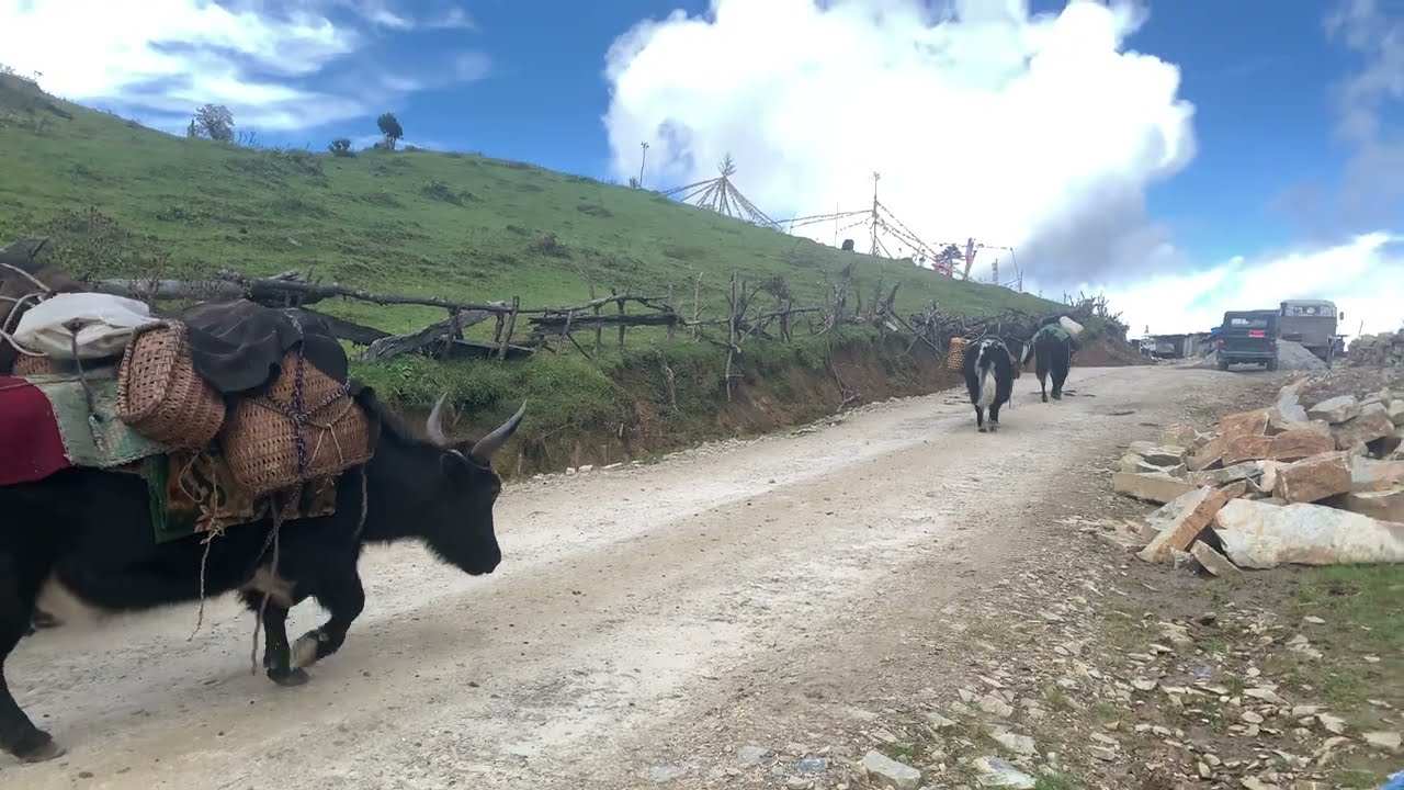 Eastern Bhutan| Nature's wonderland |