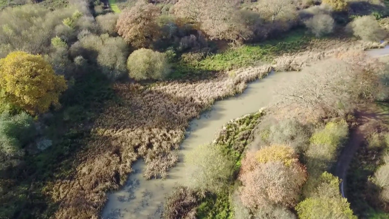 Hammer Pond in the Autumn
