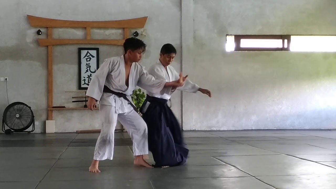 Demonstration by Arie Sensei 3rd Dan Aikikai of Terakoya Dojo