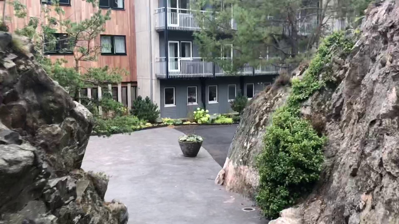 Vildmarkshotellet vid Kolmården