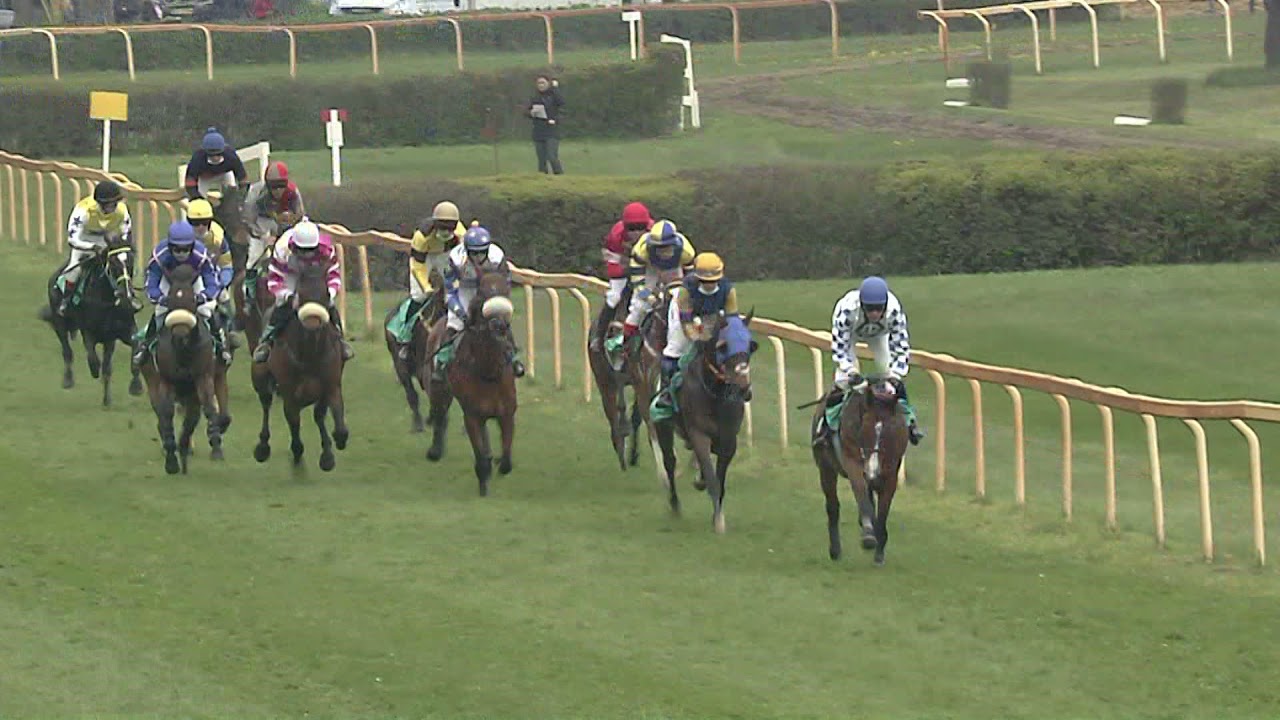 8. dostih - Proutěné překážky Tipsport (pp, IV, 3000 m)