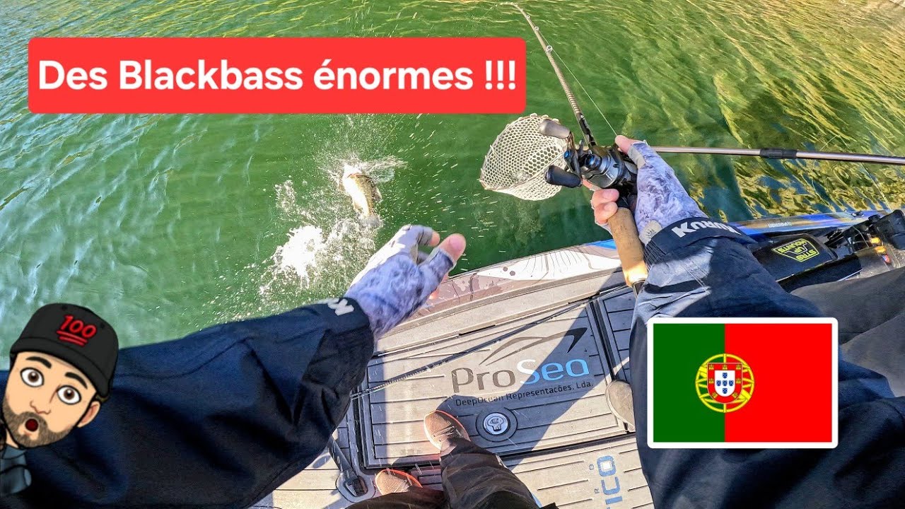 Les BlackBass hors normes du Portugal