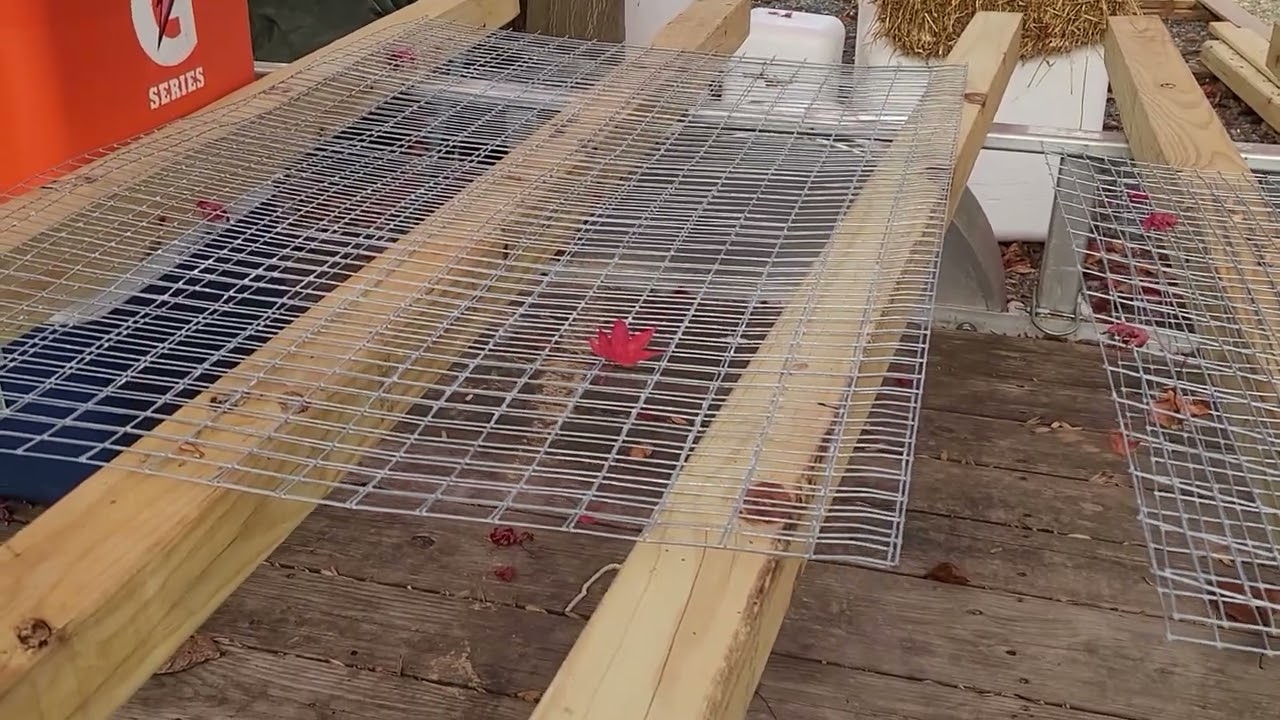 Easy DIY jumbo Coturnix Quail stackable, portable (sellable) cage with Egg Roll Out. Tips and Tricks