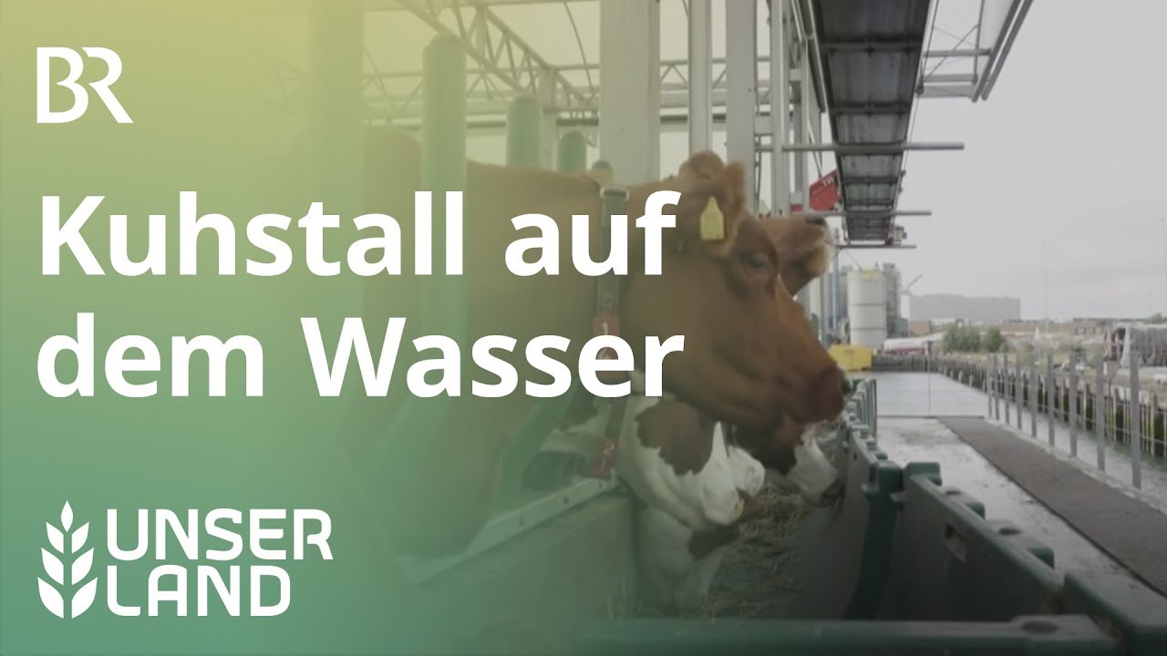 Schwimmender Kuhstall in Rotterdam | Unser Land | BR Fernsehen