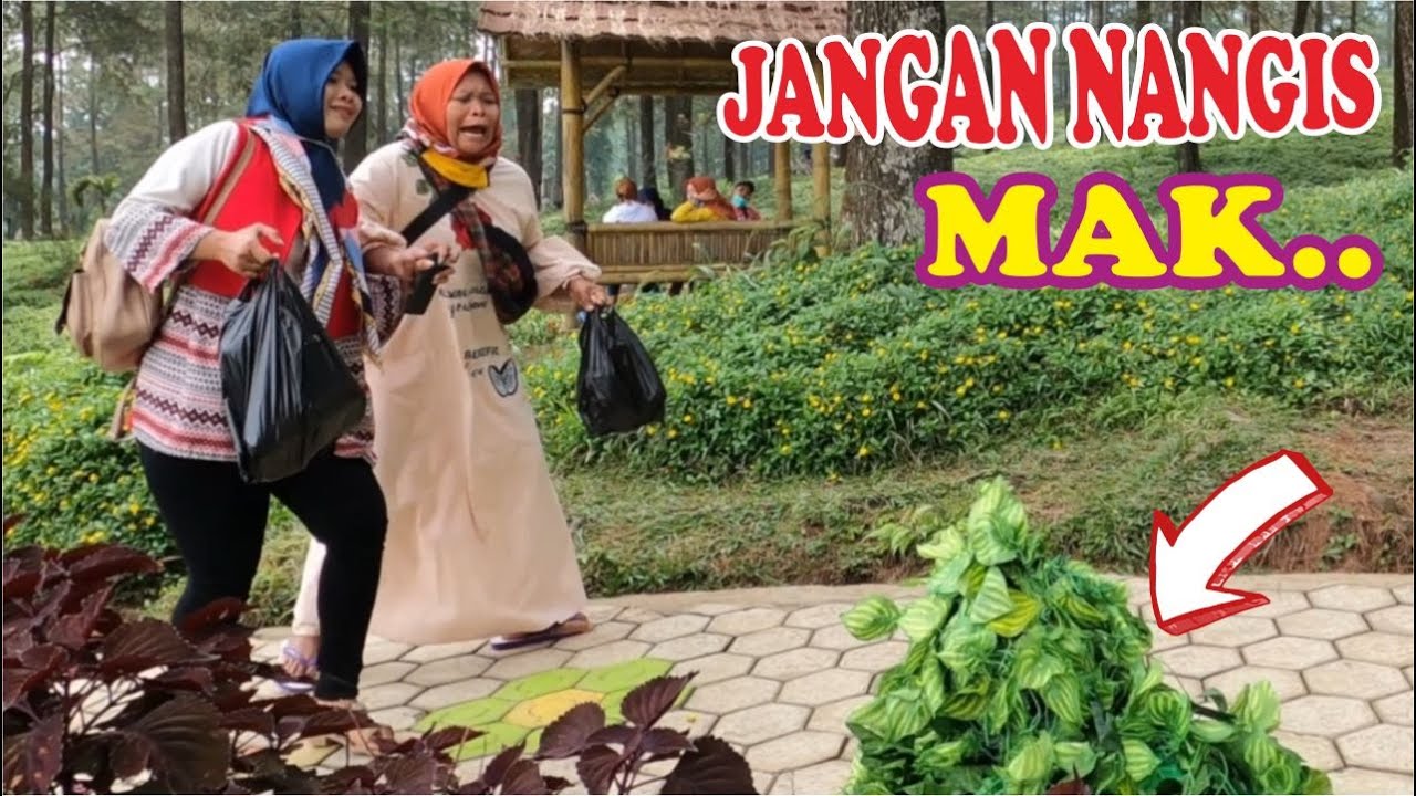 Emak-emak kagetnya lucu | Funny Bushman Prank