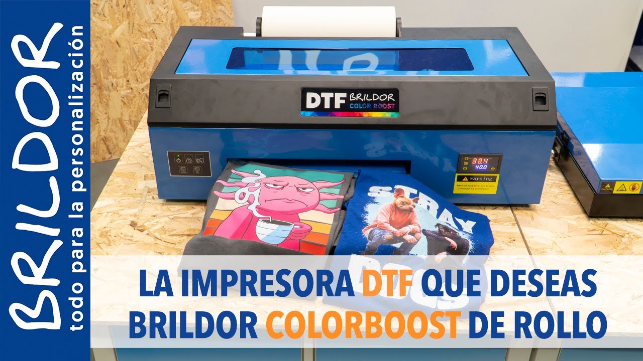 &iquest;&iquest;Qu&eacute; IMPRESORA DTF merece la pena COMPRAR??