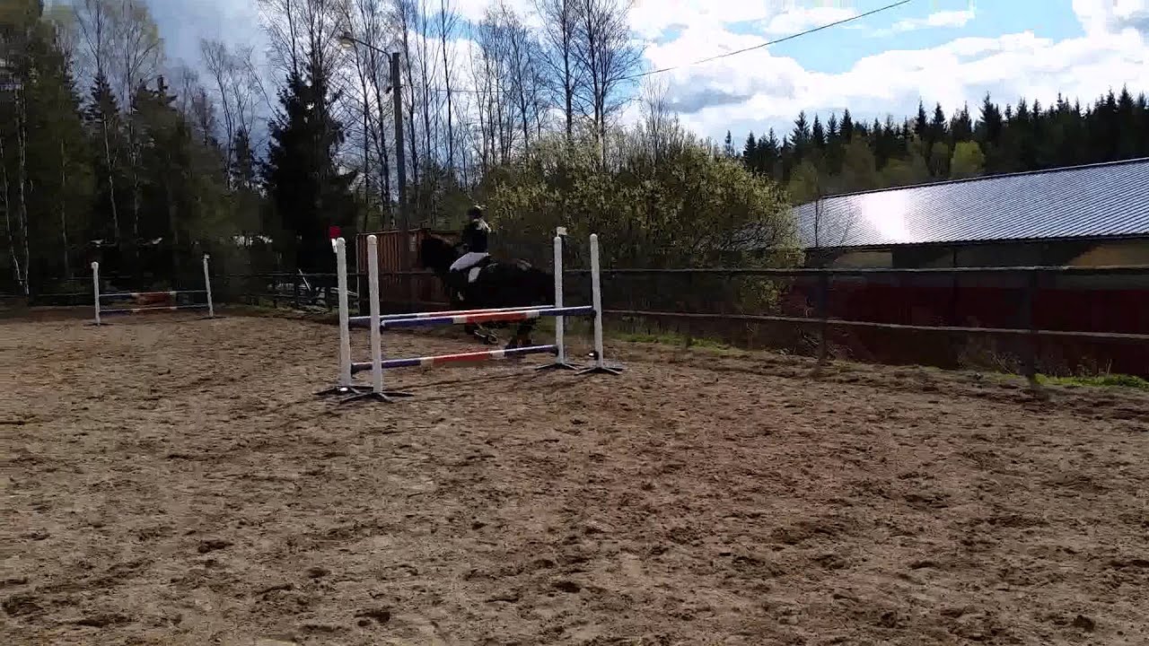 Clear round på Boromir 90 cm i Stall Tokarp