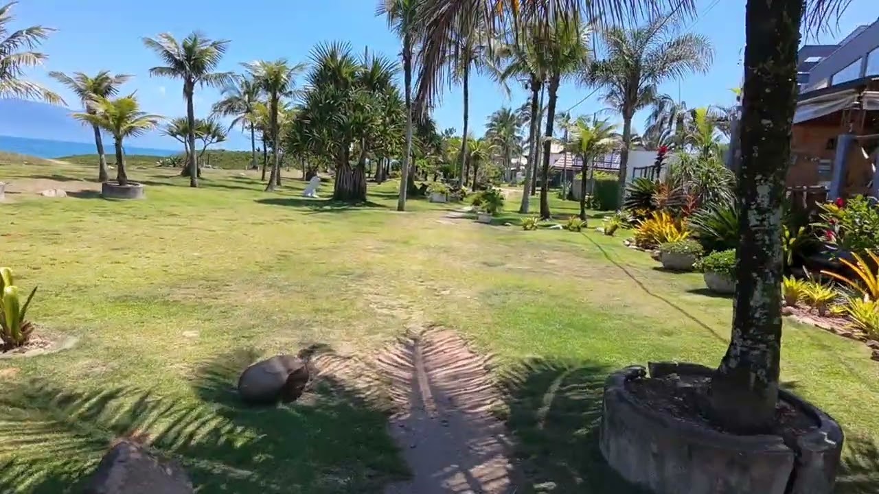 Drone dji neo