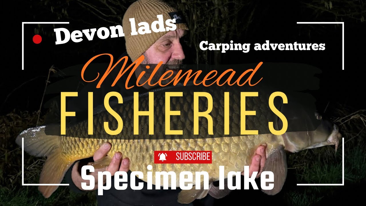 Carp fishing, Milemead fisheries specimen lake 