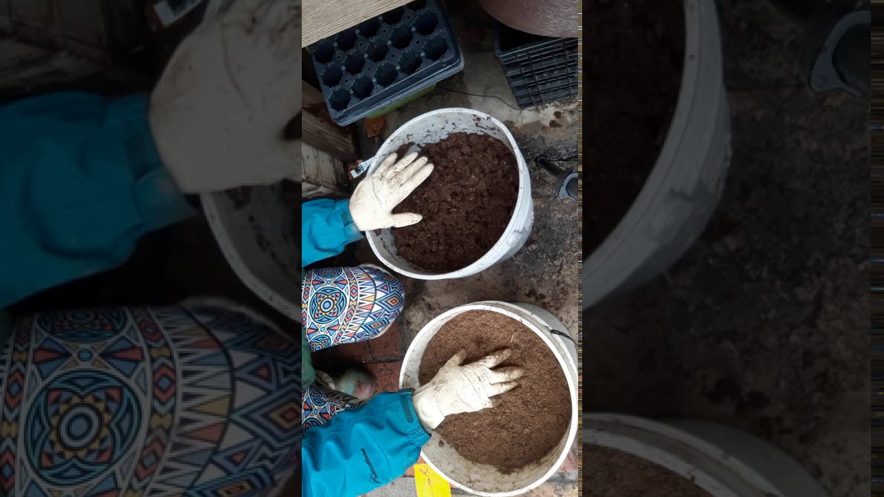 Peat Moss Prep