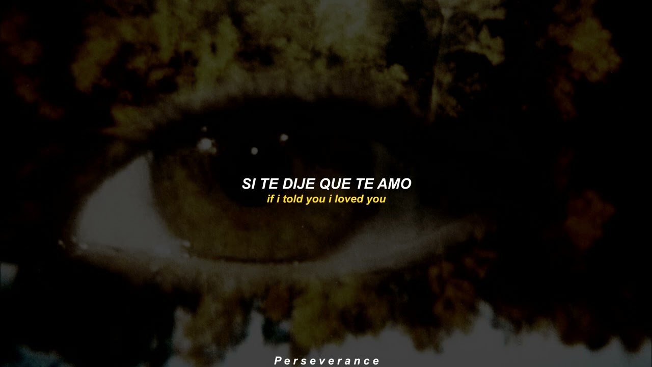 Zayn - What I Am // Lyrics // Traducida al Español