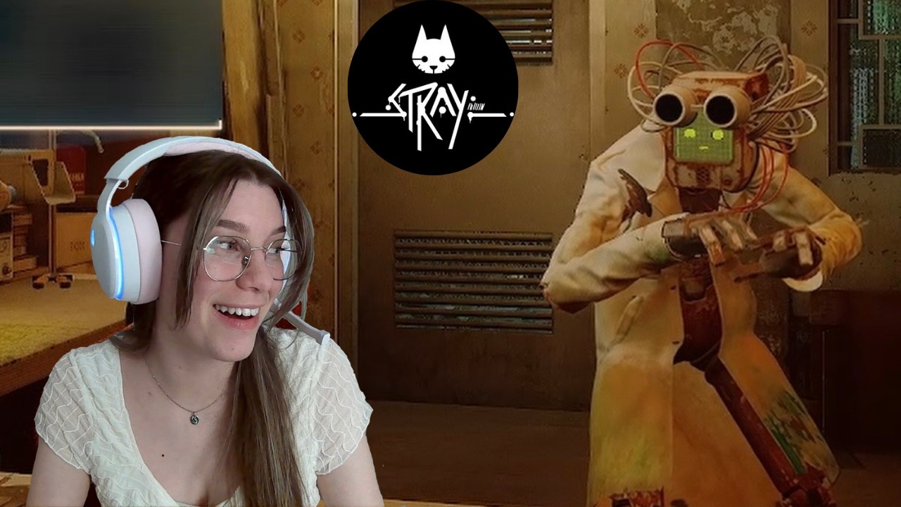 Stray | why did I become Momo's errand boy...