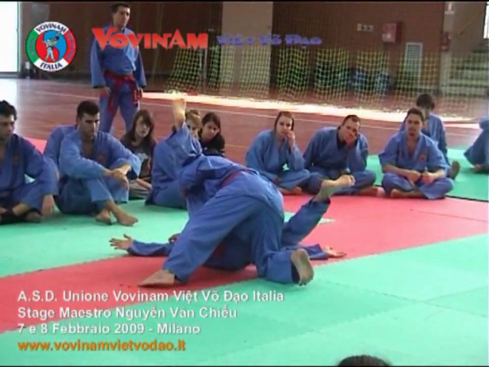 Vovinam Viet Vo Dao, M° Nguyen Van Chieu, Stage 2009 - VAT Lotta Vietnamita