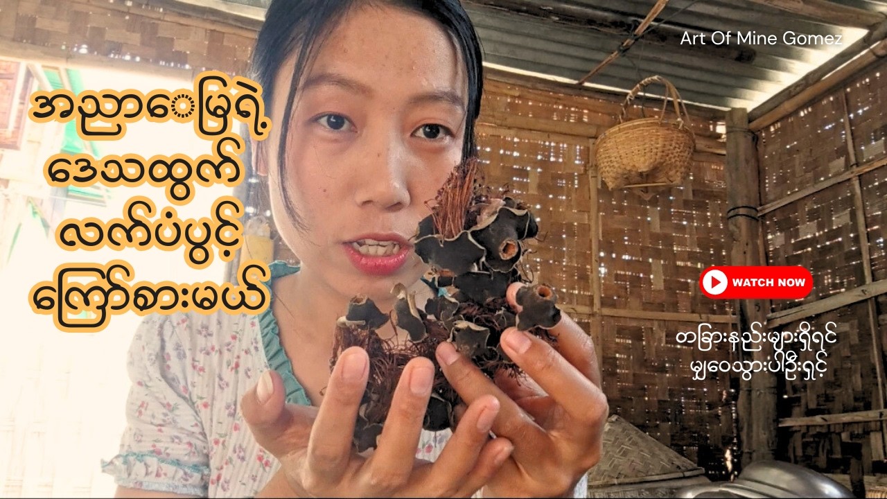 အညာဒေသရဲ့ဒေသထွက် လက်ပံပွင့်ကြော် #အညာမြေ #လက်ပံ #explore #vlog #အညာ #localfood #tradition #food