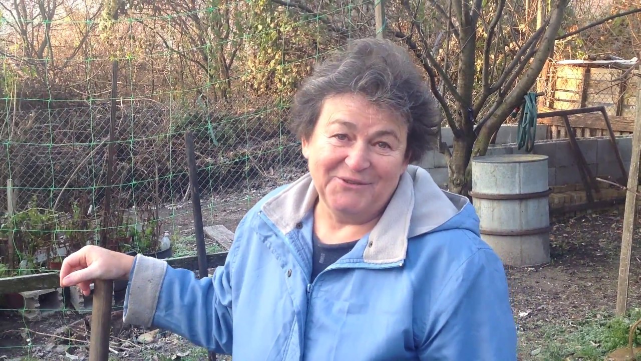 Jutka mama kertje novemberben