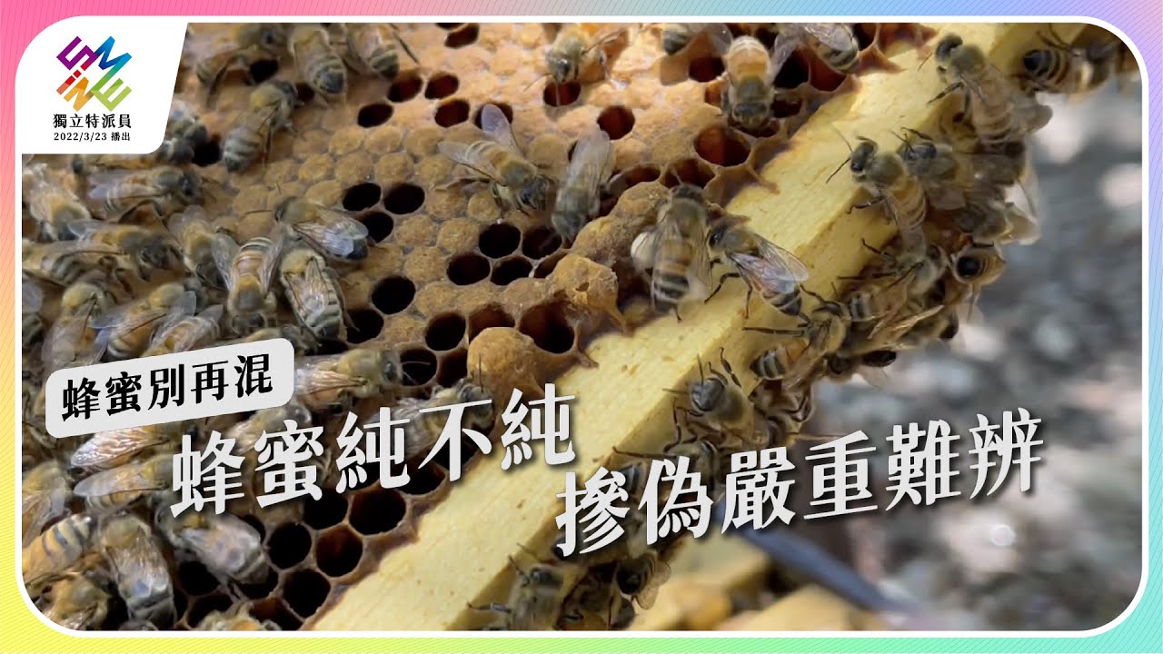 蜂蜜純不純，摻偽嚴重難辨。｜蜂蜜別再混｜公視 #獨立特派員 第761集 20220803