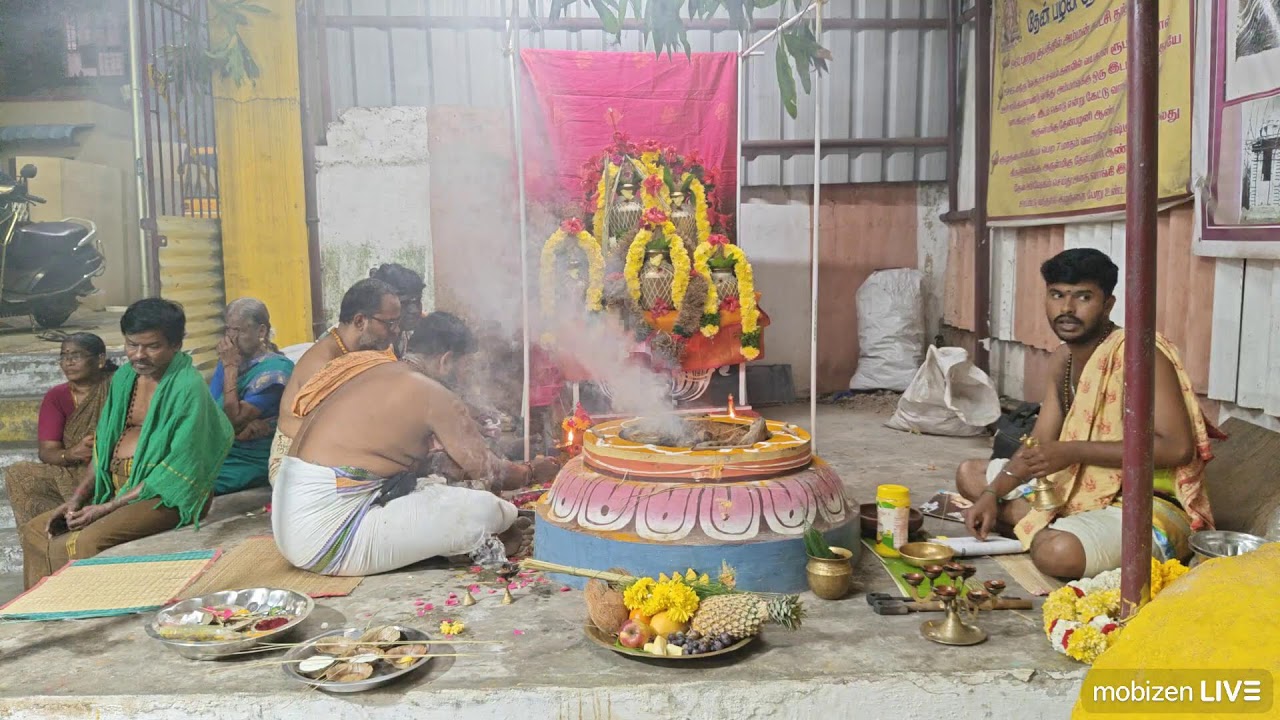 Arulmigu Thenpalani Andavar Thirukovil/ Sivarathiri // Special Live