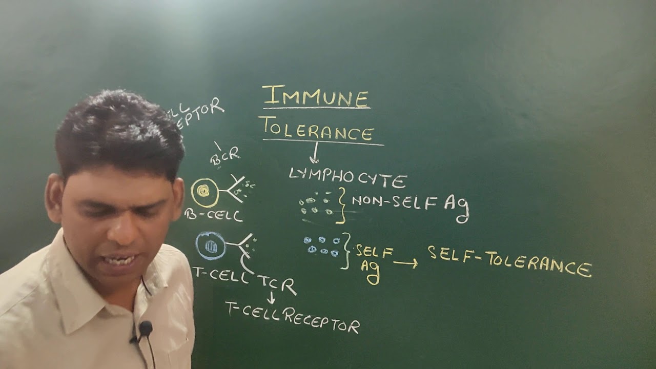 Immune Tolerance (Part-1/5)