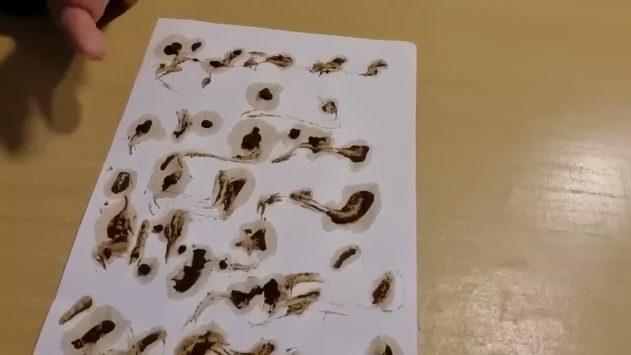  Seni takip ediyor haberin yok! yaşı yüzü ismi belli görmek için heyecanlı senin tepkini merak ediyo