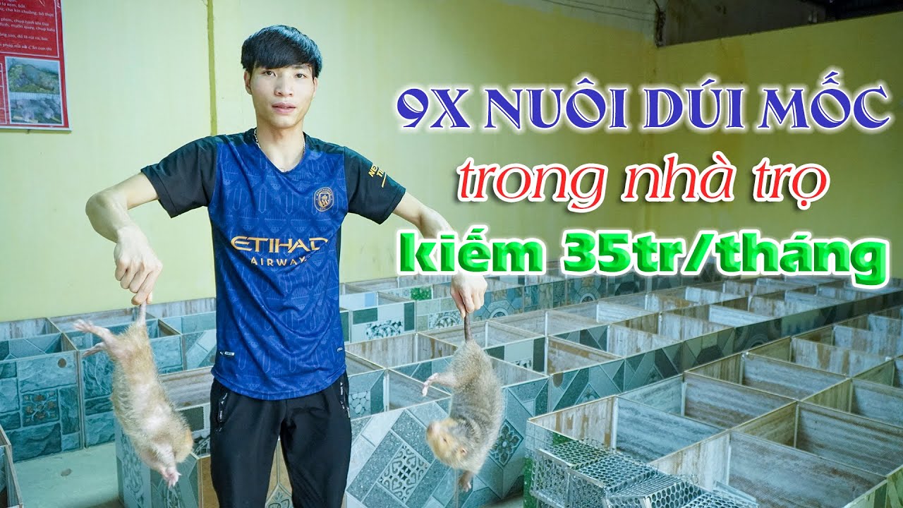 Thanh niên 9X thu 35 triệu/tháng từ nuôi dúi má đào, dúi mốc trong nhà || Kỹ thuật nuôi dúi làm giàu