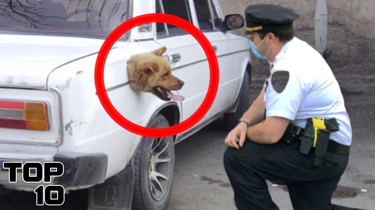 Top 10 Times The Police Encountered Glitches In The Matrix