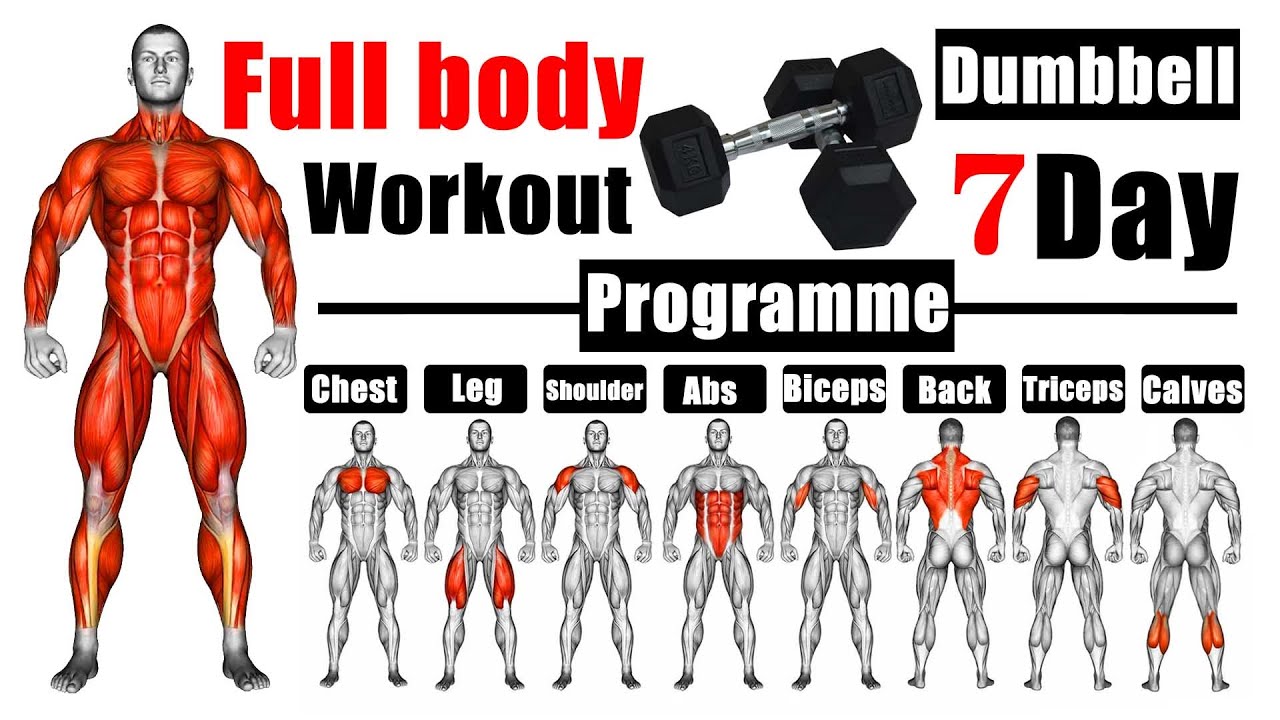 full body dumbbell workout |哑铃全身锻炼