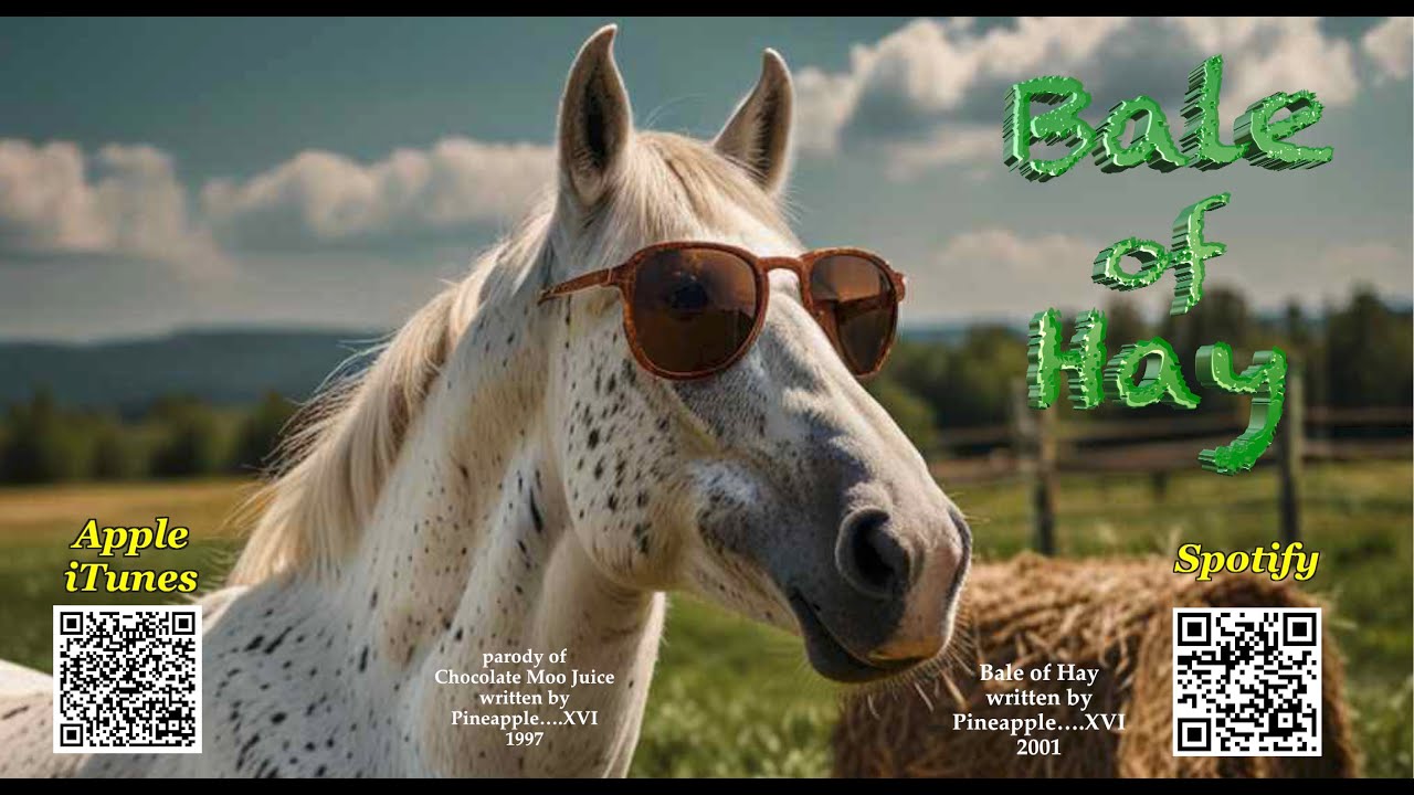 Bale of Hay — Официальный музыкальный клип — Pineapple....XVI (PTXVI)
