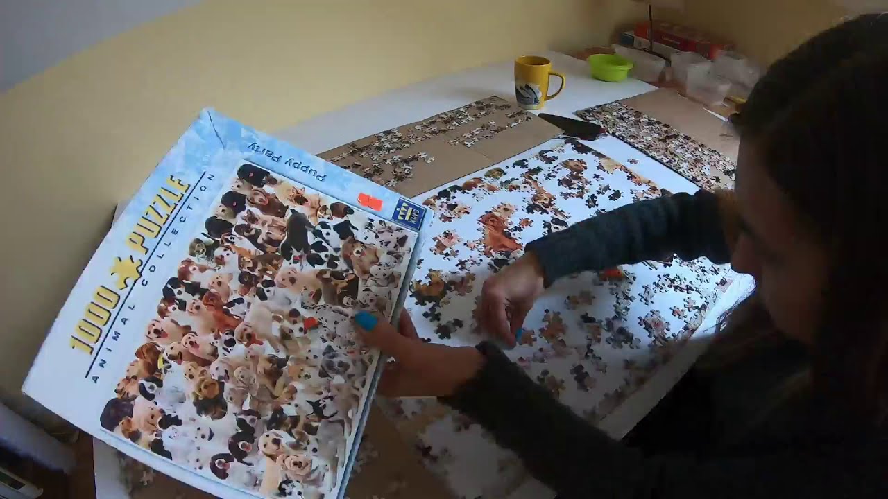 Time Lapse Puzzle King Puppy Party 1000