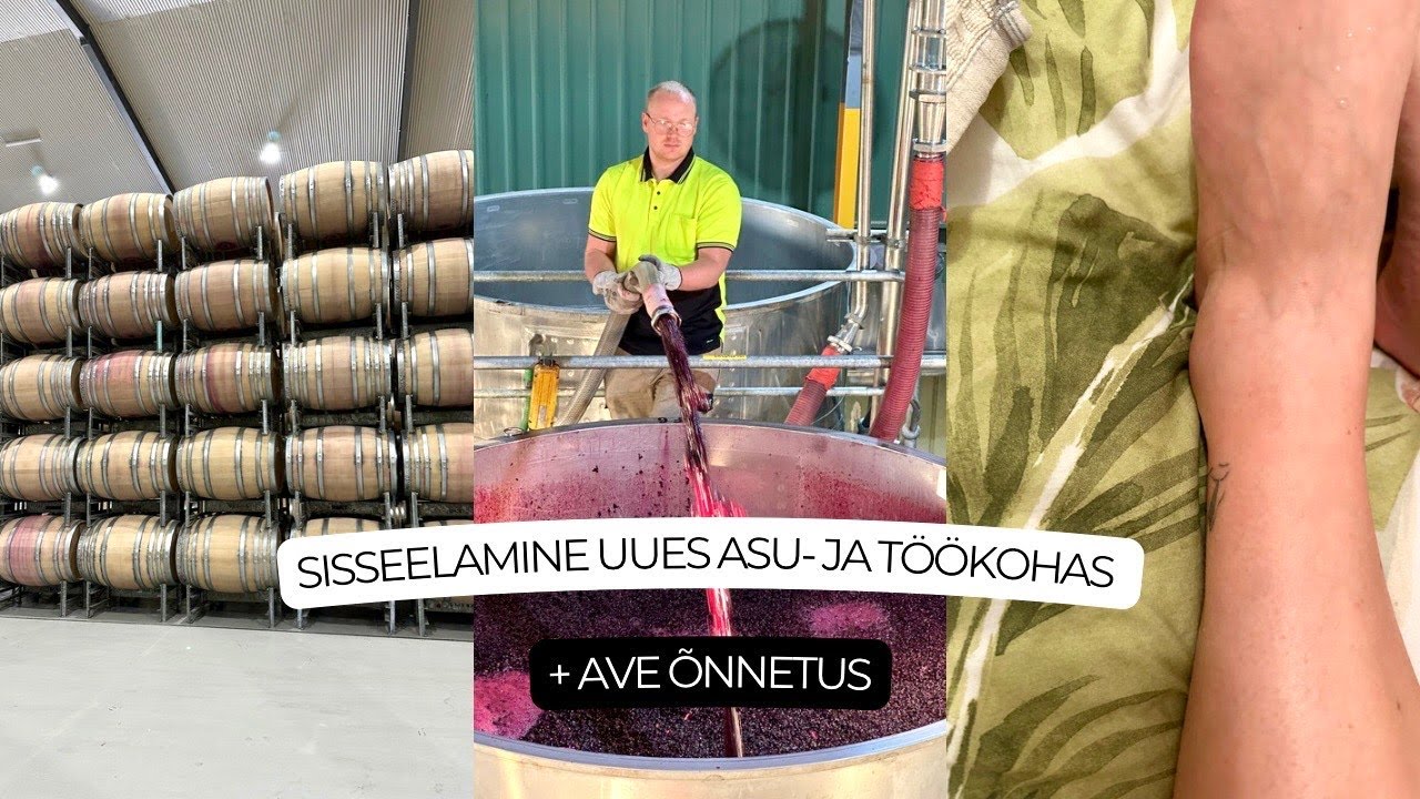 Vlog 75 -  SISSEELAMINE (TÖÖ)KOHTA JA AVE MURRAB JALA!