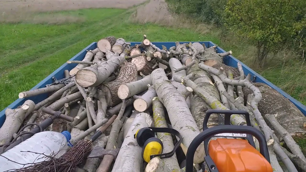 поїздка по дрова