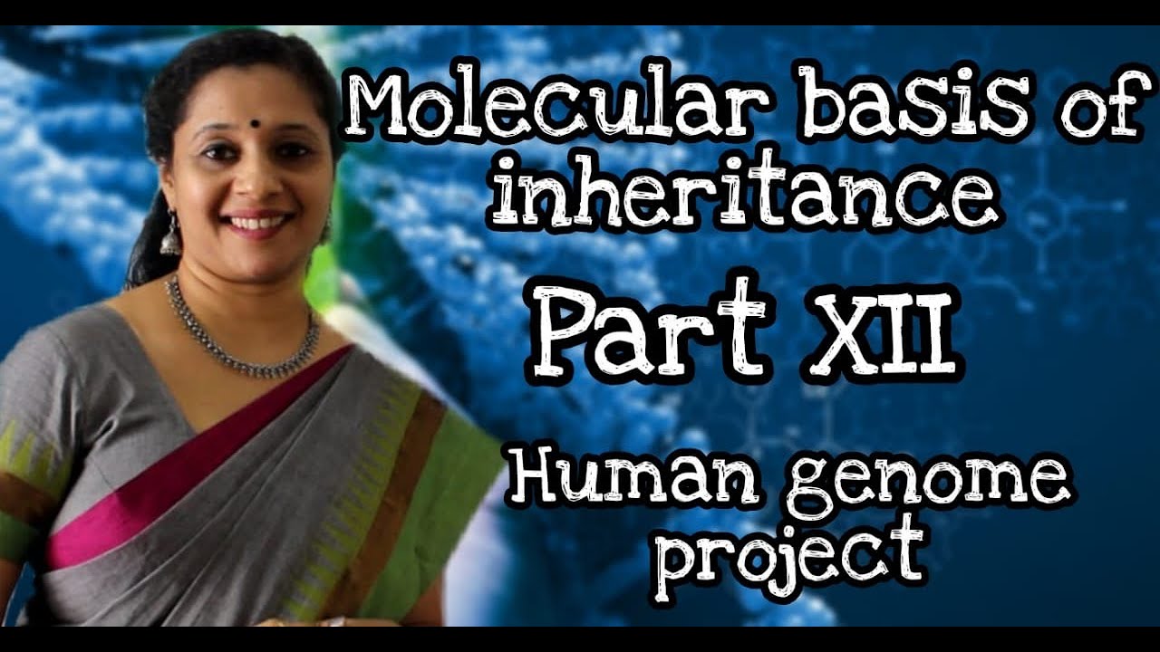 NEET: Molecular Basis of Inheritance: Part 12 Human Genome Project