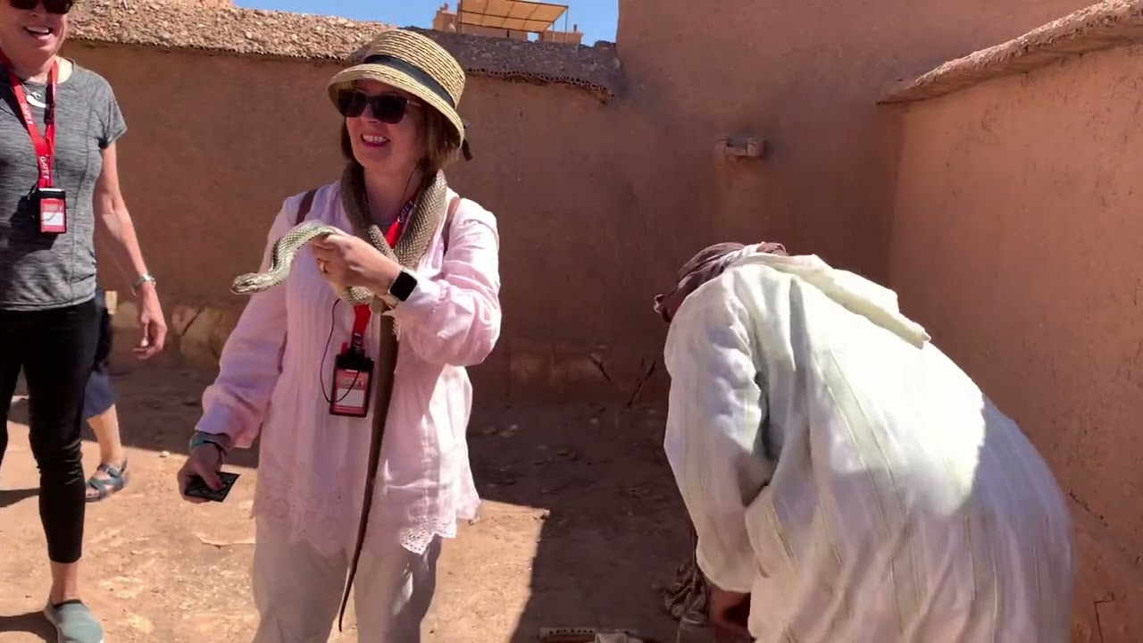 Snake charmer Morocco 2022