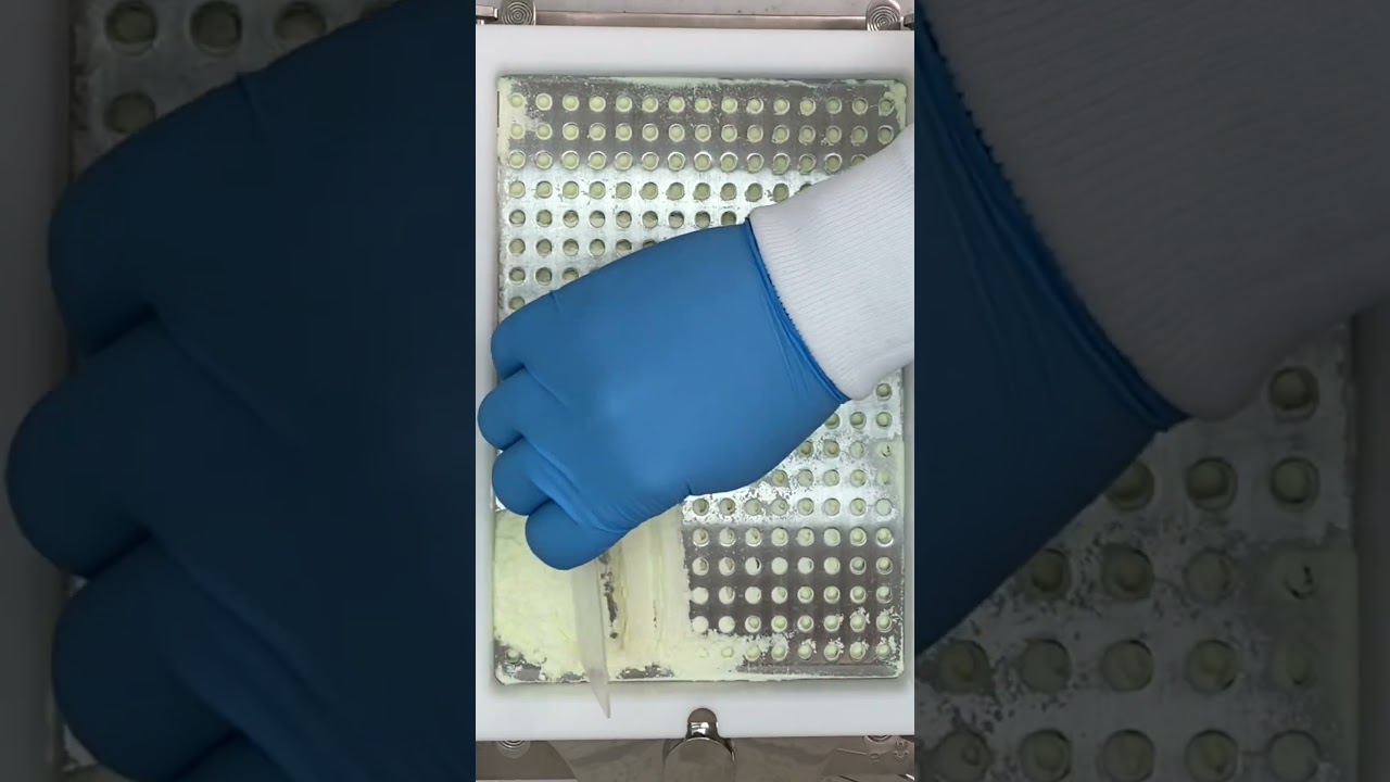 Making capsules can be satisfying. #asmr #pharmacy #medicine #healthcare #satisfying