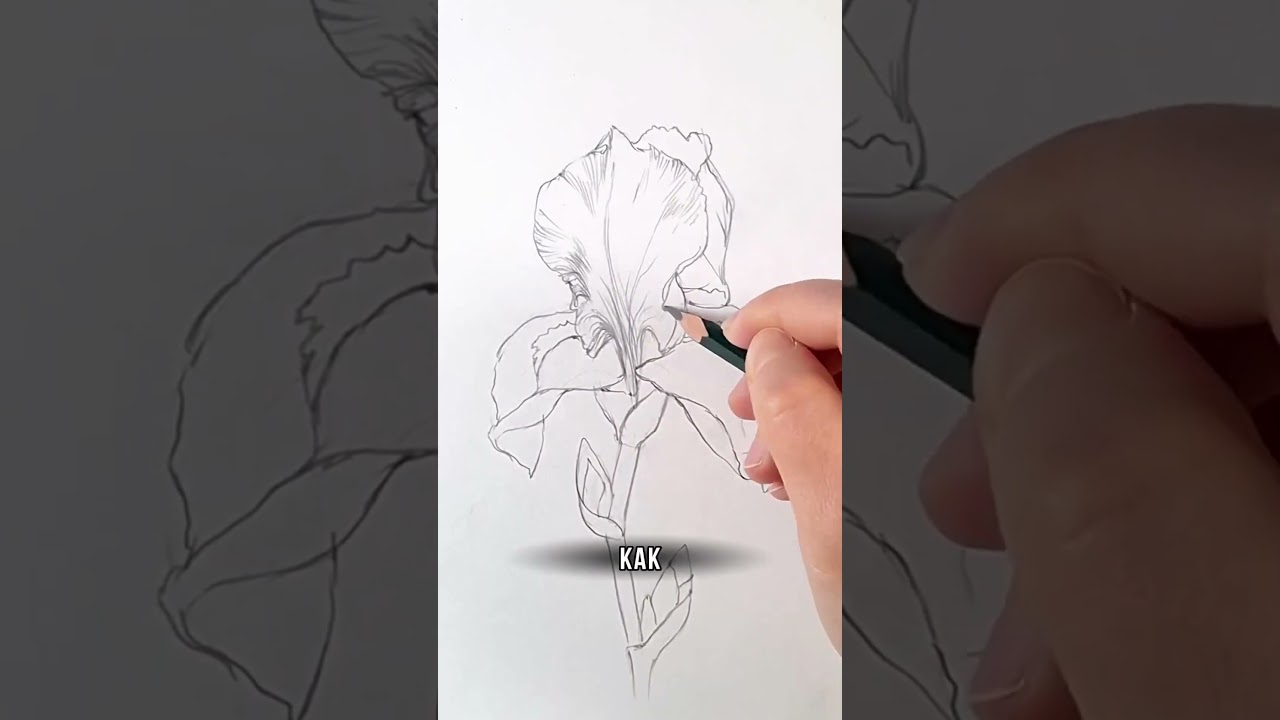 Учитесь рисовать с нами 👆