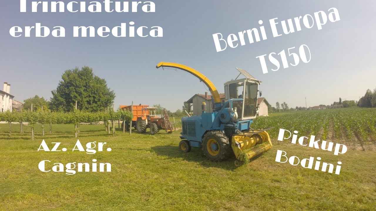 Berni Europa TS150 - Pickup Bodin i- Trinciatura erba medica - Alfalfa silage - Az. Agr. Cagnin