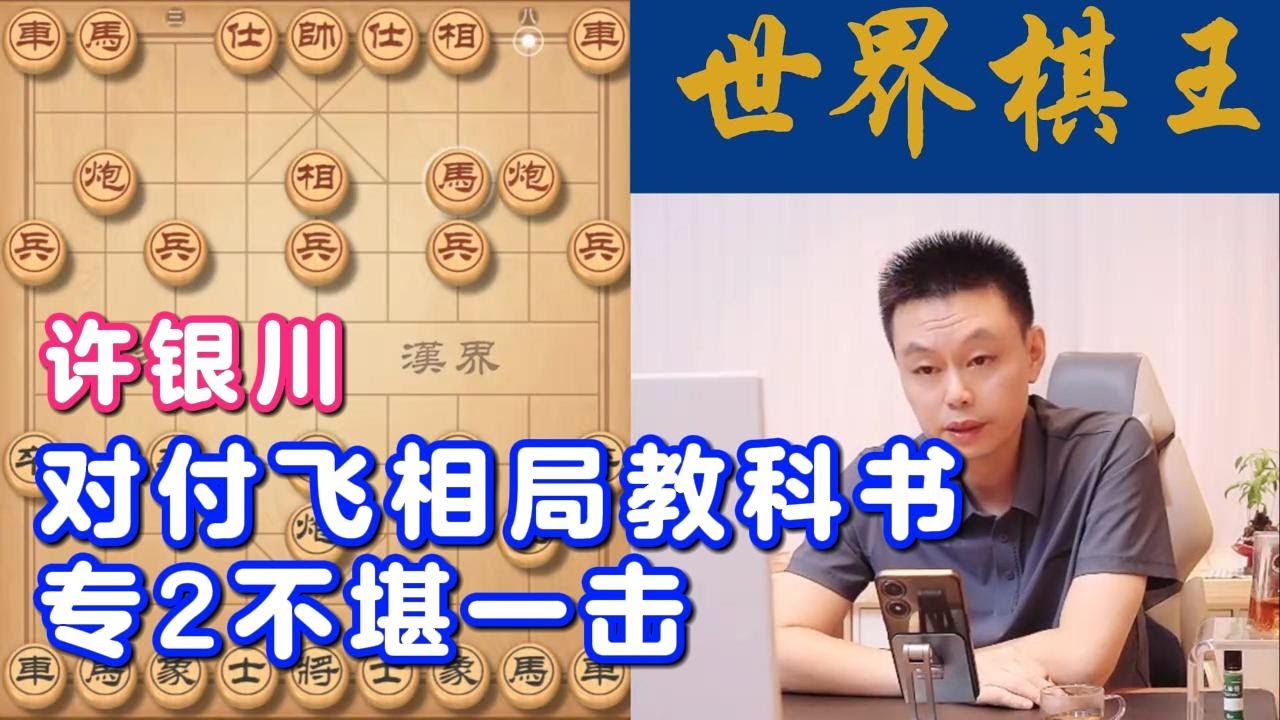 许银川教科书级对付飞相局，专2不堪一击