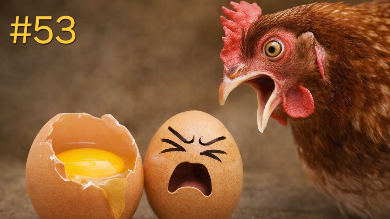 #53. Egg Peeling with Name Writing | Dinor | Calming & Satisfying