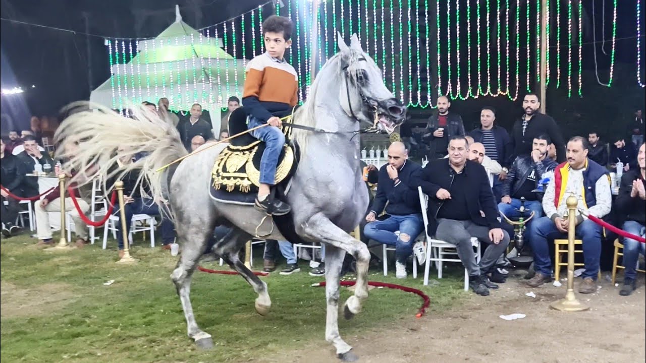 اصغر معلم في مصر محمد هشام سرحان و مازن العمدة حفلة ابو سيف