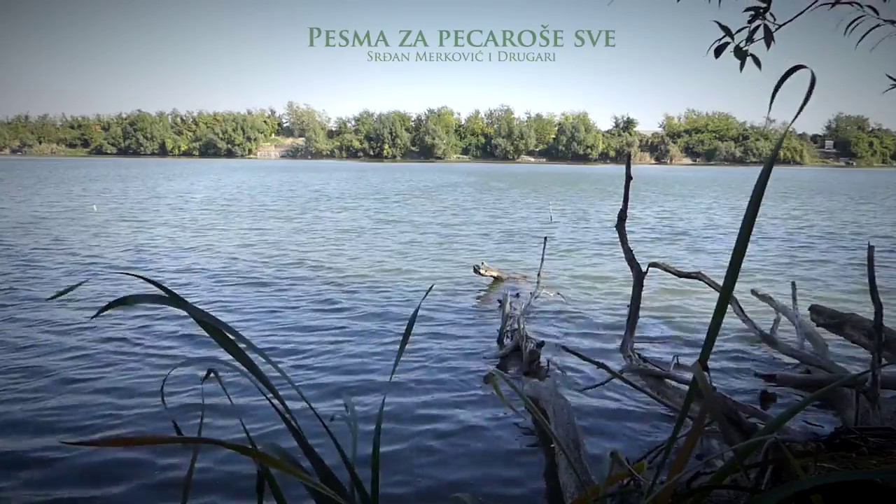 Pesma za pecaroše sve - Srđan Merković i Drugari