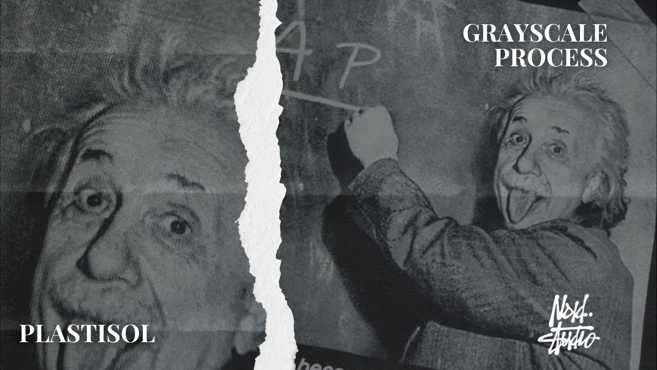 NOID STUDIO - Sablon Plastisol Grayscale | EINSTEIN