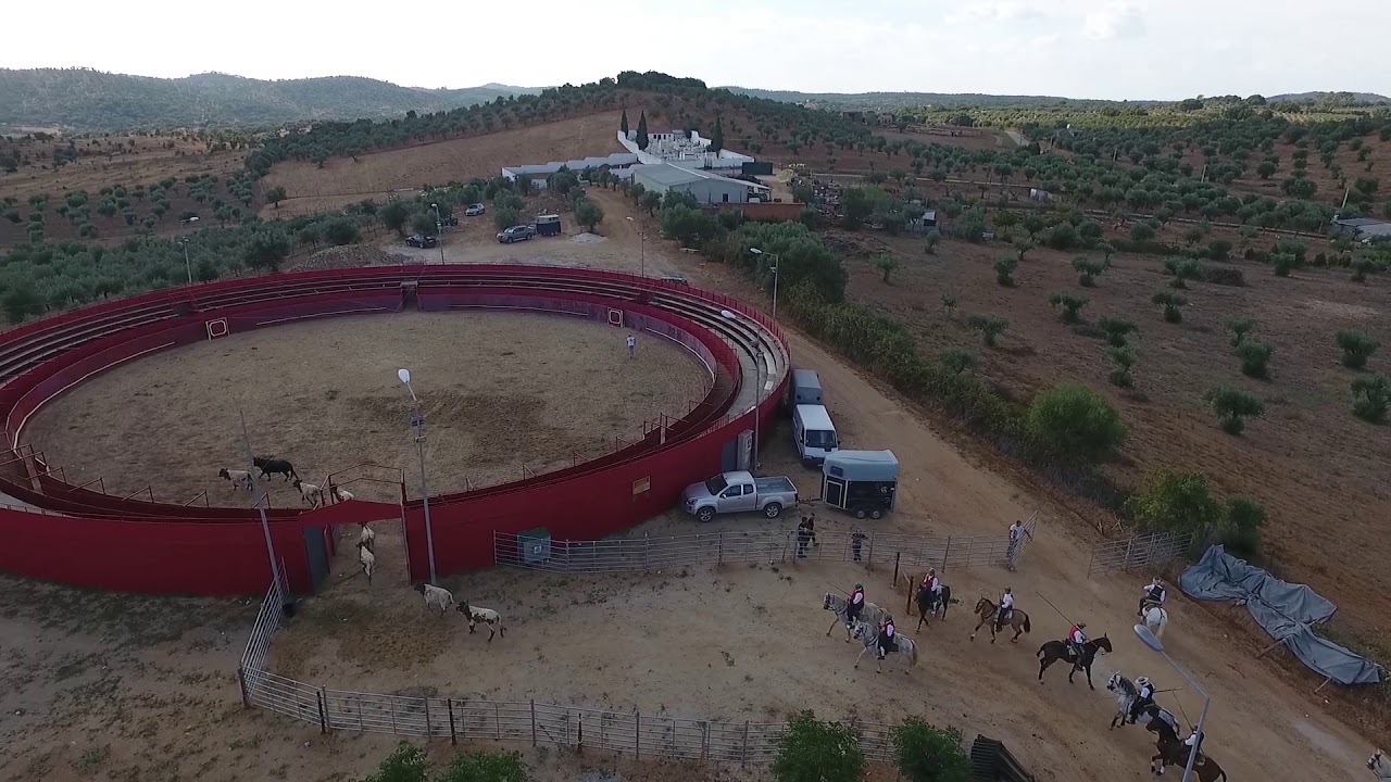 Encerro taurino Festas de Vera Cruz - Portel 2018