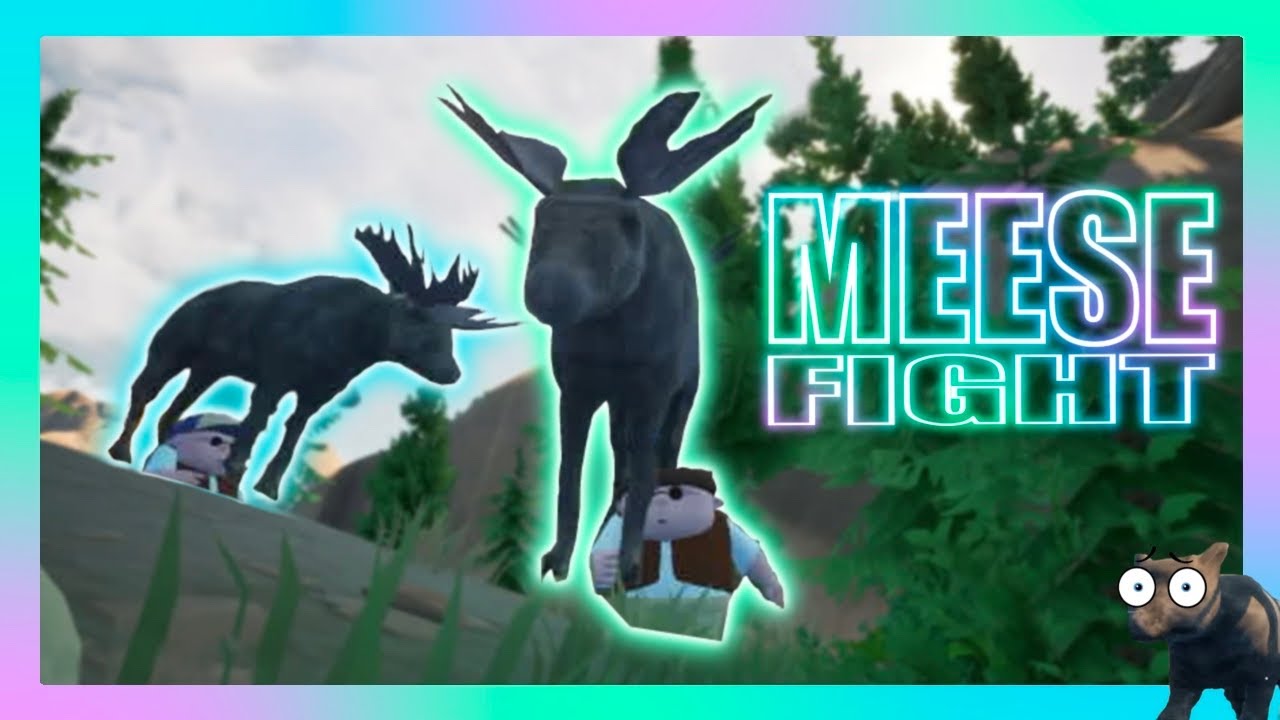 No Moose Were HARMED In The Making | RV There Yet?