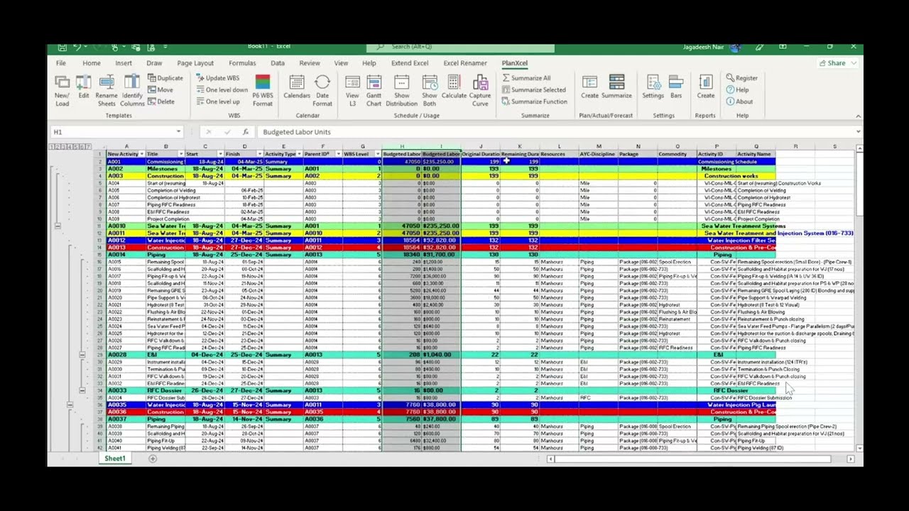 Primavera P6 to Excel