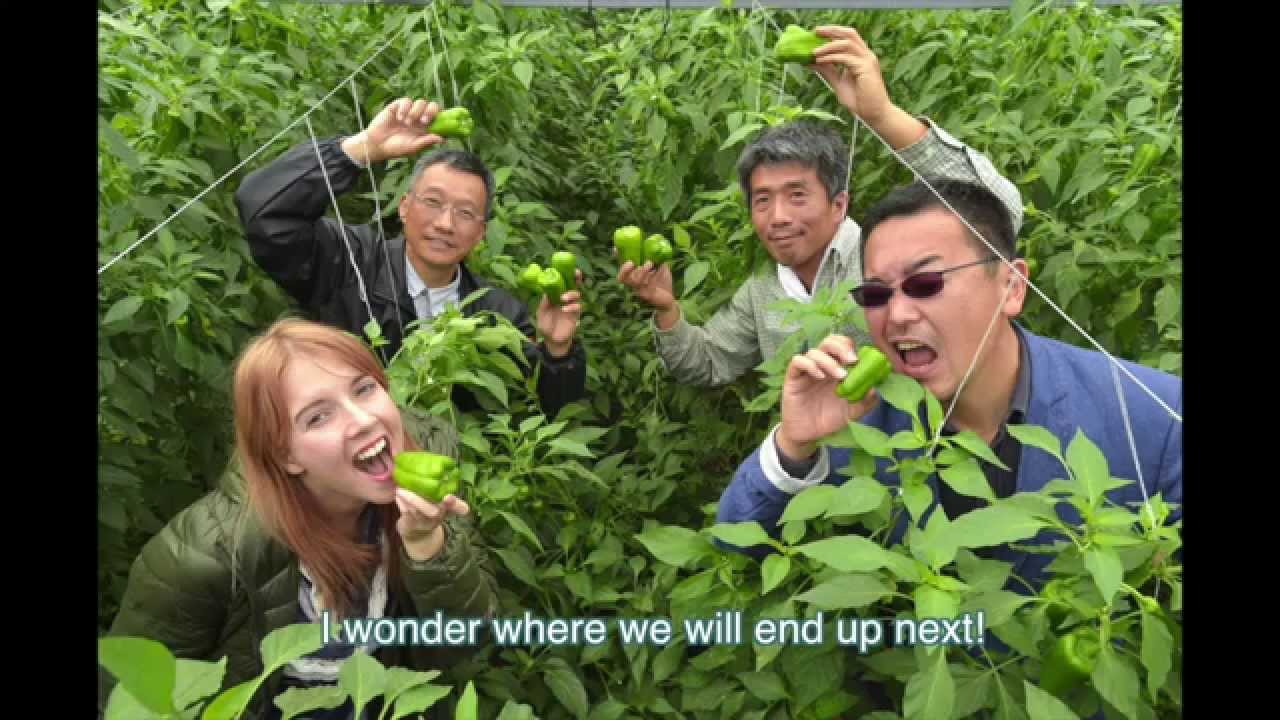 KBCラジオ「九州まるごと特区 ミカエラ取材レポート１」