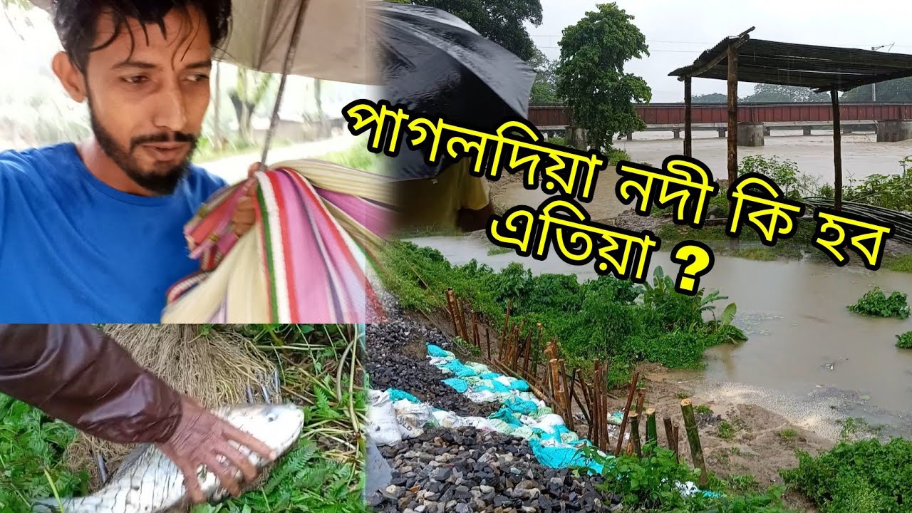 বানপানী । পাগলদিয়াৰ অবস্থা কি হ'ব এতিয়া। Banpani / Pagladiya River