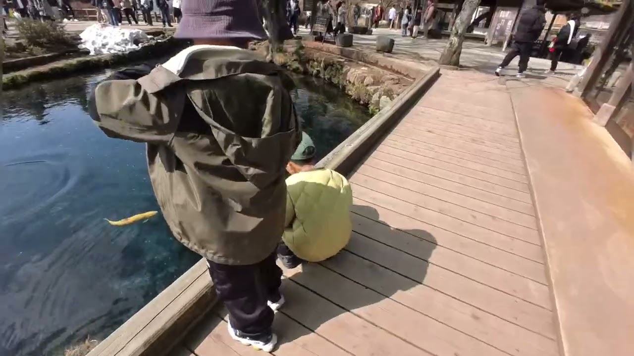 ★139【2日目】4泊5日関東〜大阪関東ツアー【山梨県のホテル→大石公園→富士山4合目→忍野八海→常滑市のホテル】